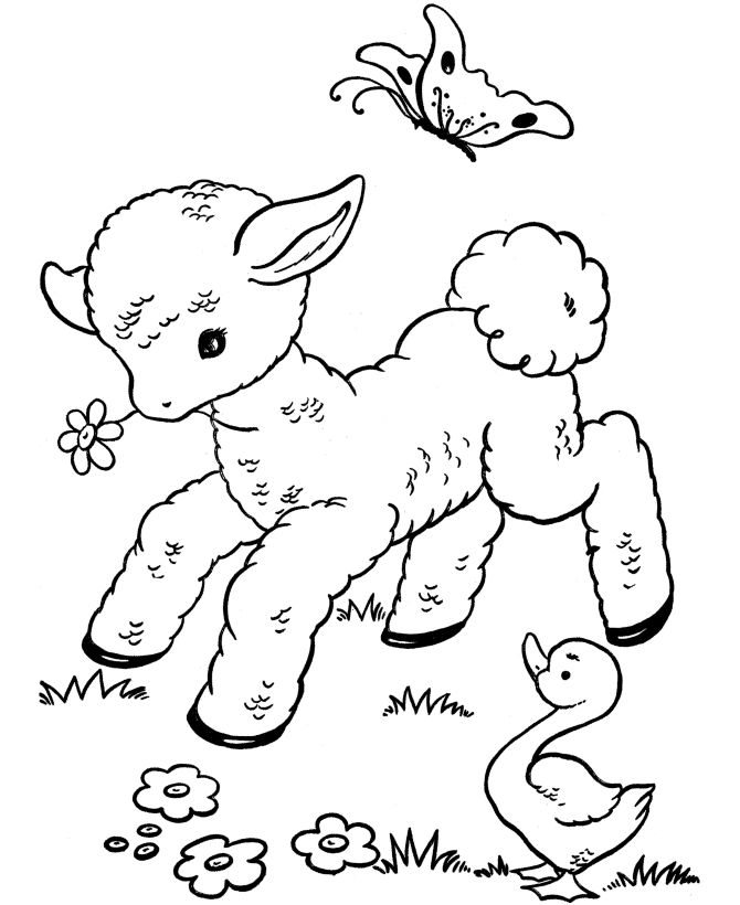 Bluebonkers free printable easter lamb coloring page sheets