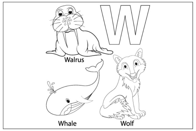 Coloring sheet from letter w for kids