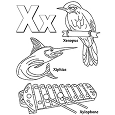 Top free printable letter x coloring pages online