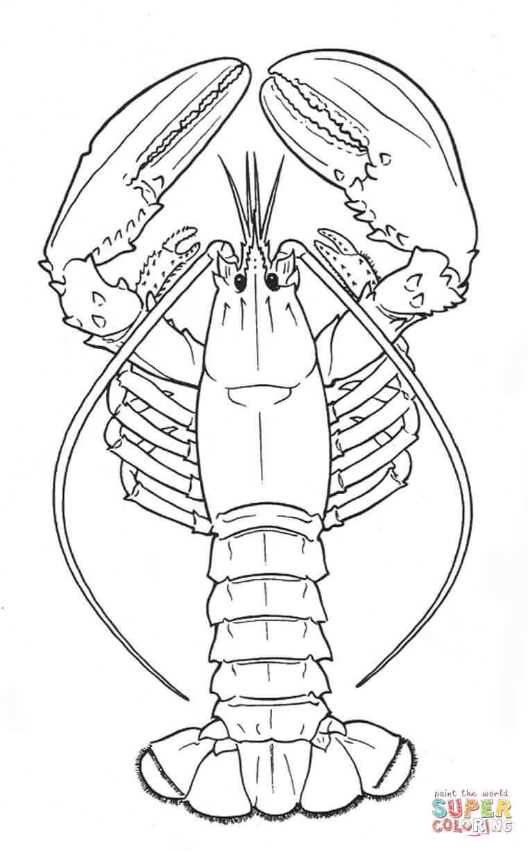 Lobster coloring page free printable coloring pages