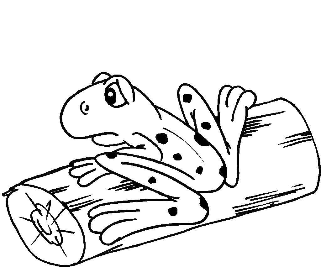 Online coloring pages coloring page frog on a log sitting the frog coloring books for children