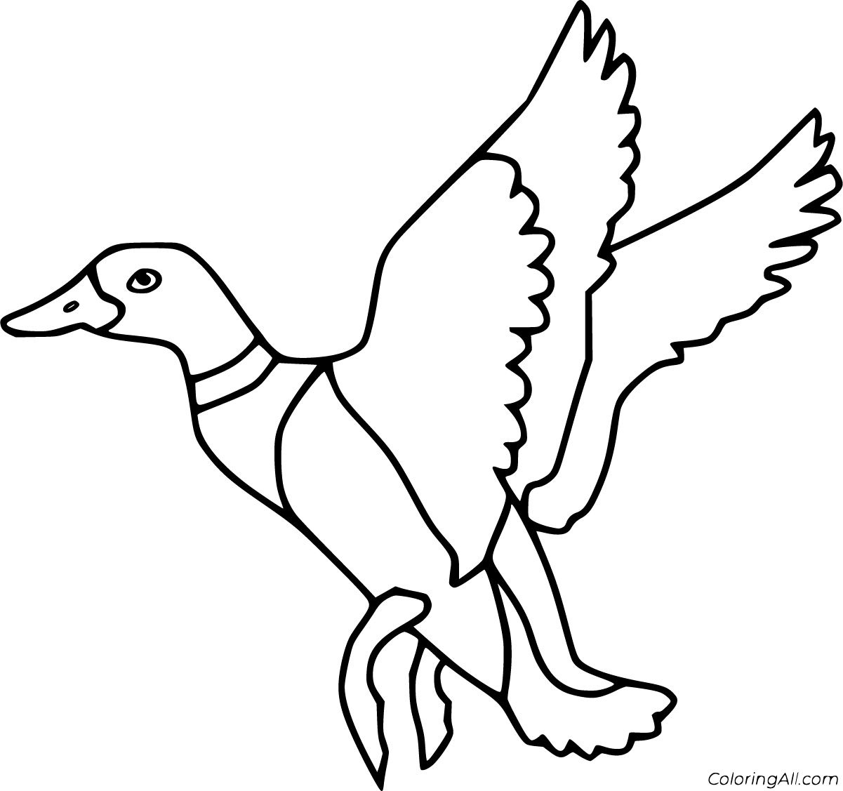 Free printable mallard duck coloring pages in vector format easy to print from any device and automaticallyâ bird coloring pages coloring pages mallard duck