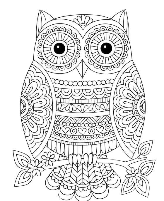 Send you animal mandala coloring pages by asmitakaushal