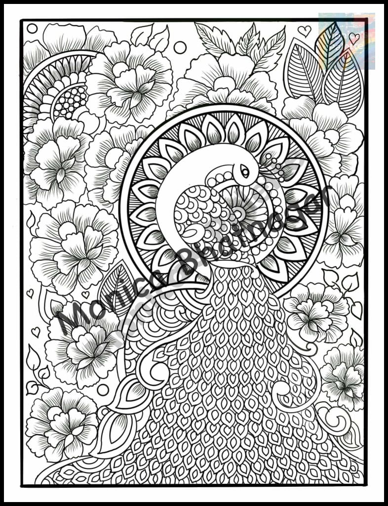 Usd only coloring page low cost printable coloring page adult coloring books