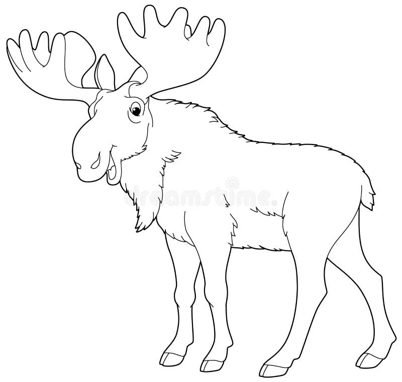 Moose coloring page stock illustrations â moose coloring page stock illustrations vectors clipart