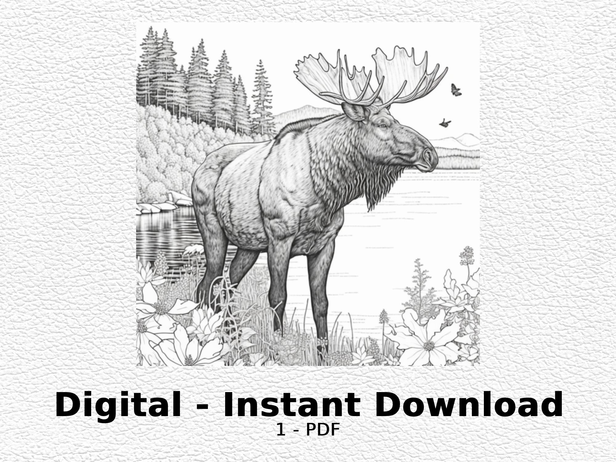 Moose coloring page coloring page for adult printable