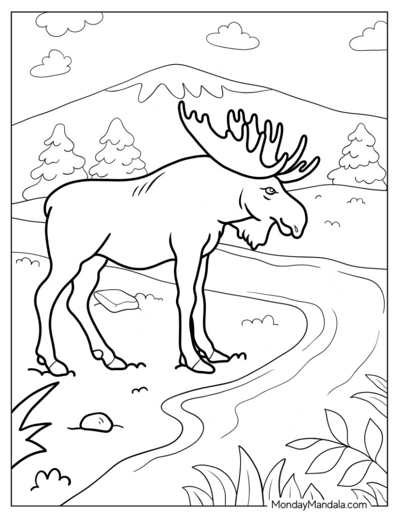 Moose coloring pages free pdf printables