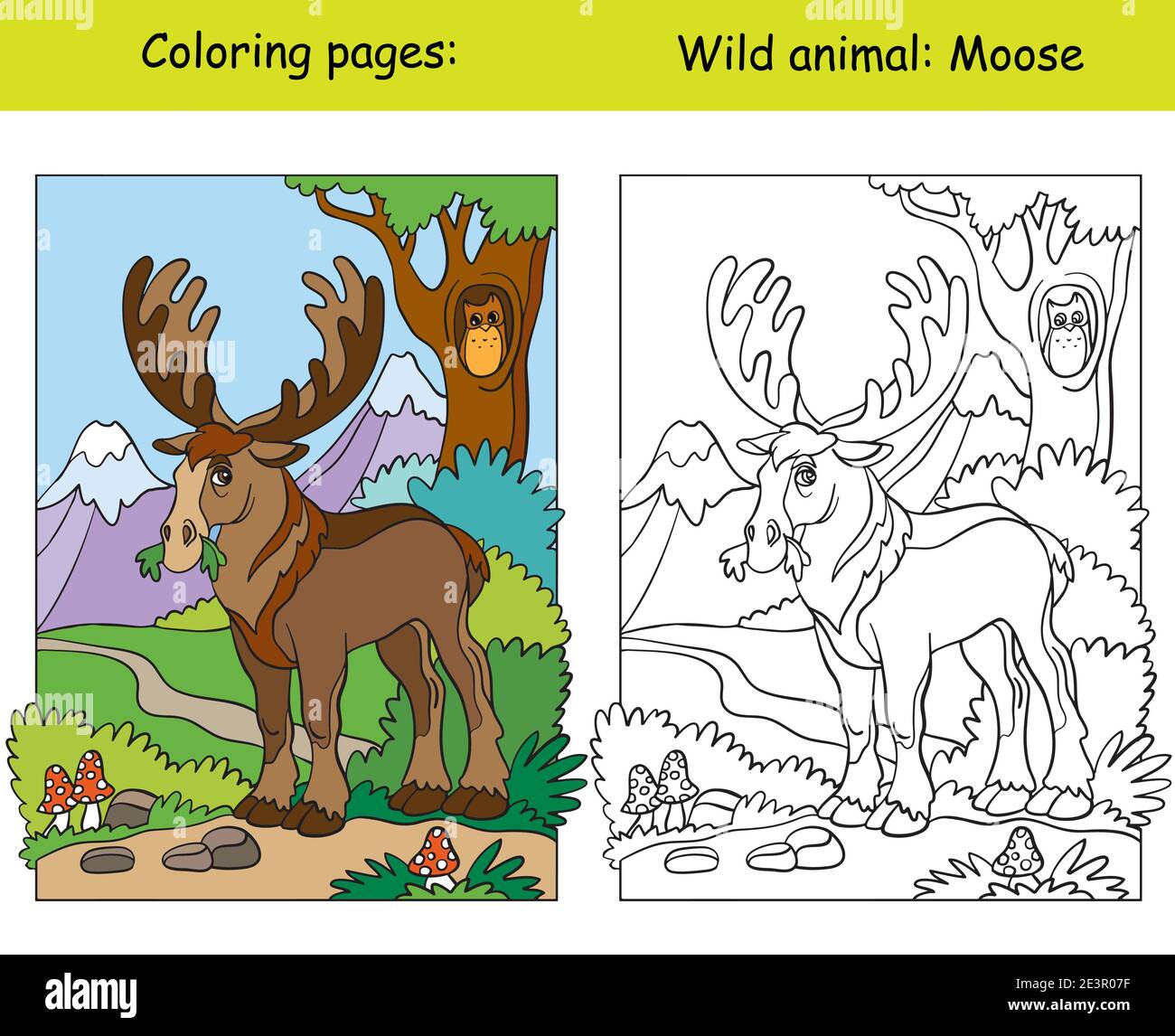 Vector coloring page with cute moose in mountain area cartoon isolated colorful illustration coloring book page and color template for coloring boo stock vector image art