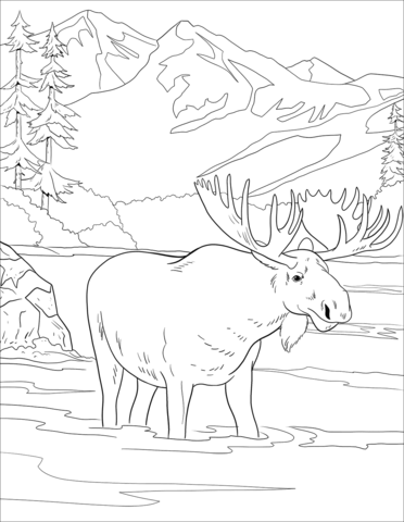 Moose coloring page free printable coloring pages