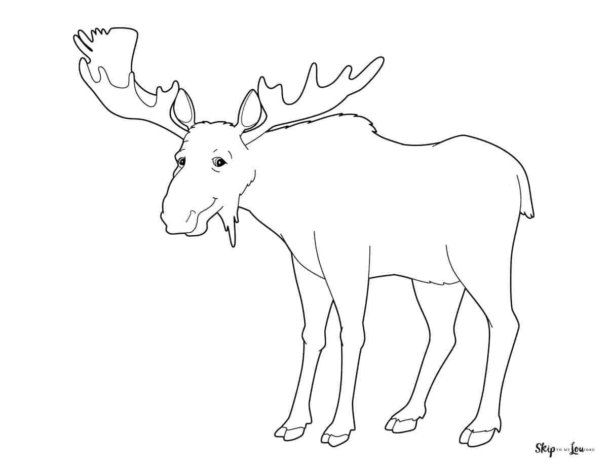 Free printable moose coloring pages skip to my lou