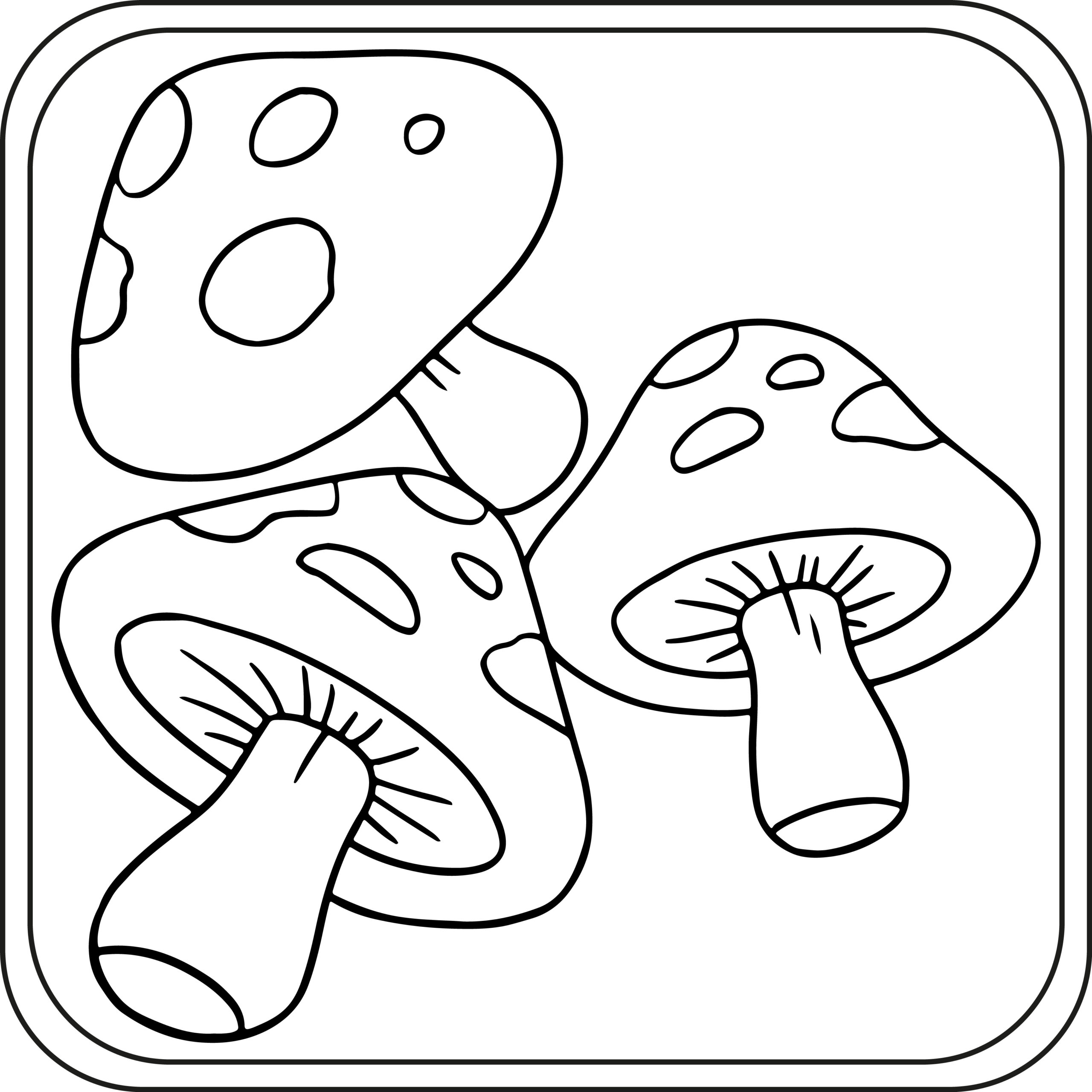 Mushroom coloring pages preschool kindergarten first grade made by teachers