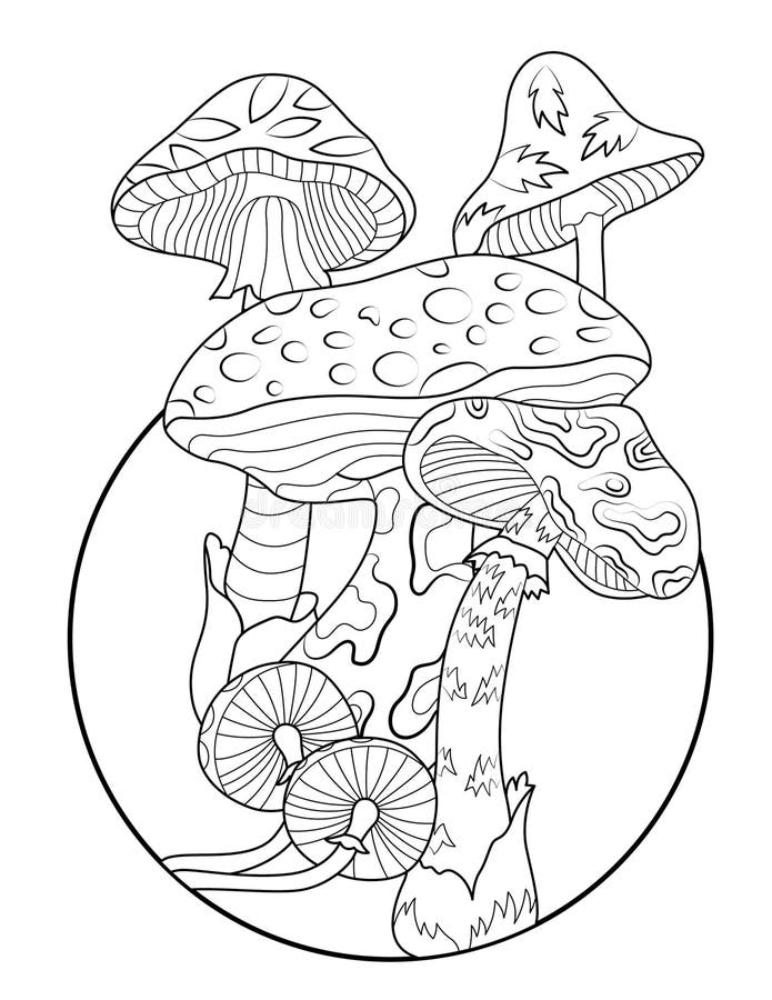 Adult coloring mushroom stock illustrations â adult coloring mushroom stock illustrations vectors clipart