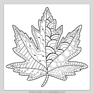 Maple leaf zen doodle coloring page m