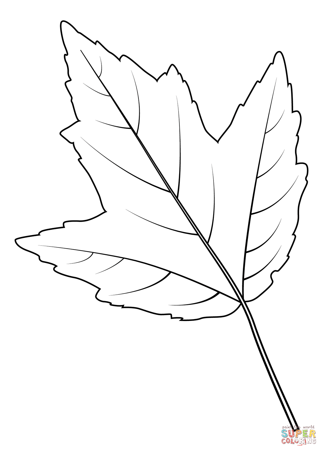 Maple leaf outline drawing