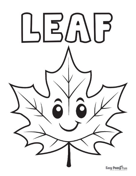 Printable leaf coloring pages â sheets