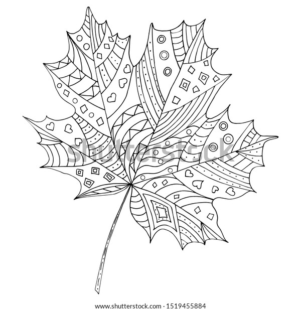 Hand drawing vector coloring page maple stock vector royalty free