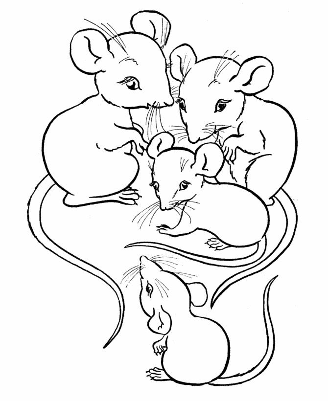 Free printable mouse coloring pages for kids farm animal coloring pages animal coloring pages coloring pages