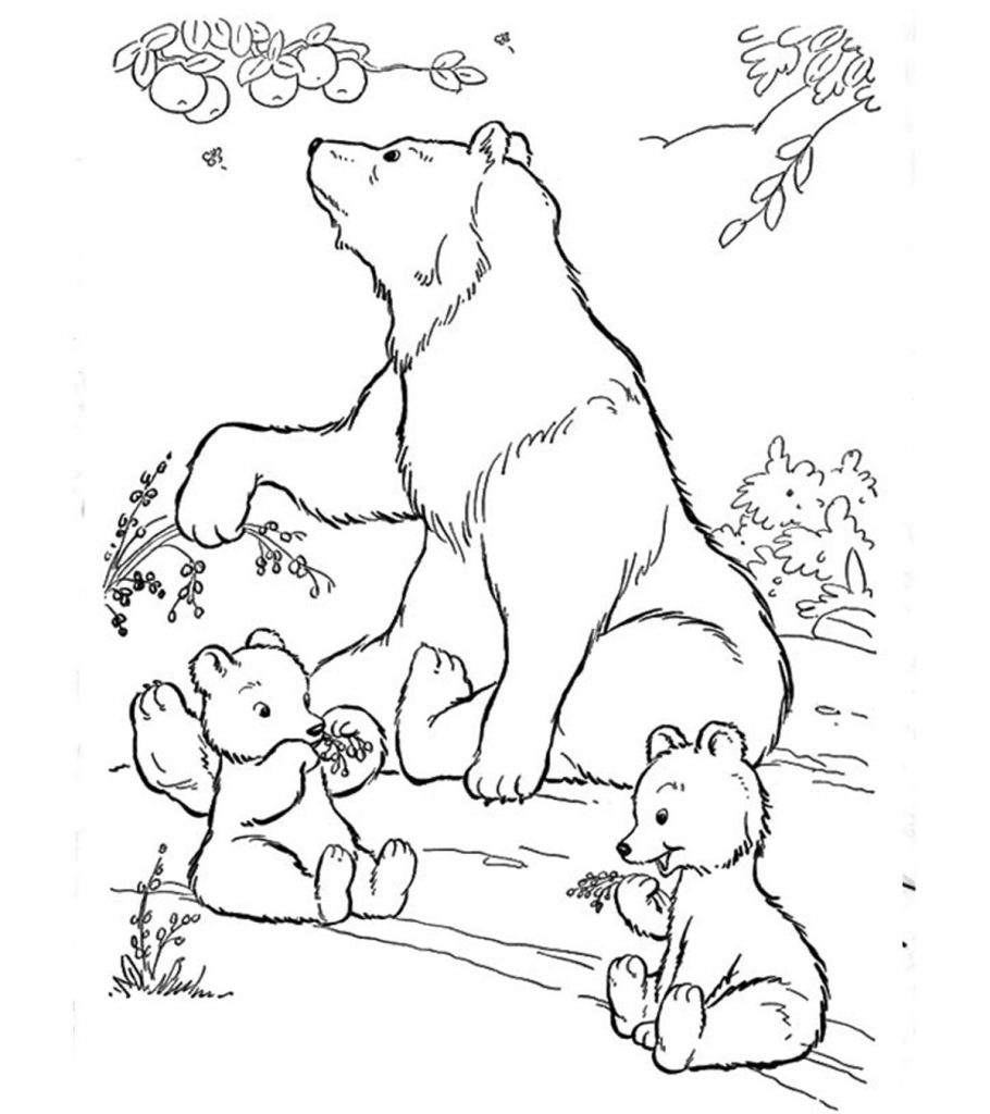 Top free printable polar bear coloring pages online