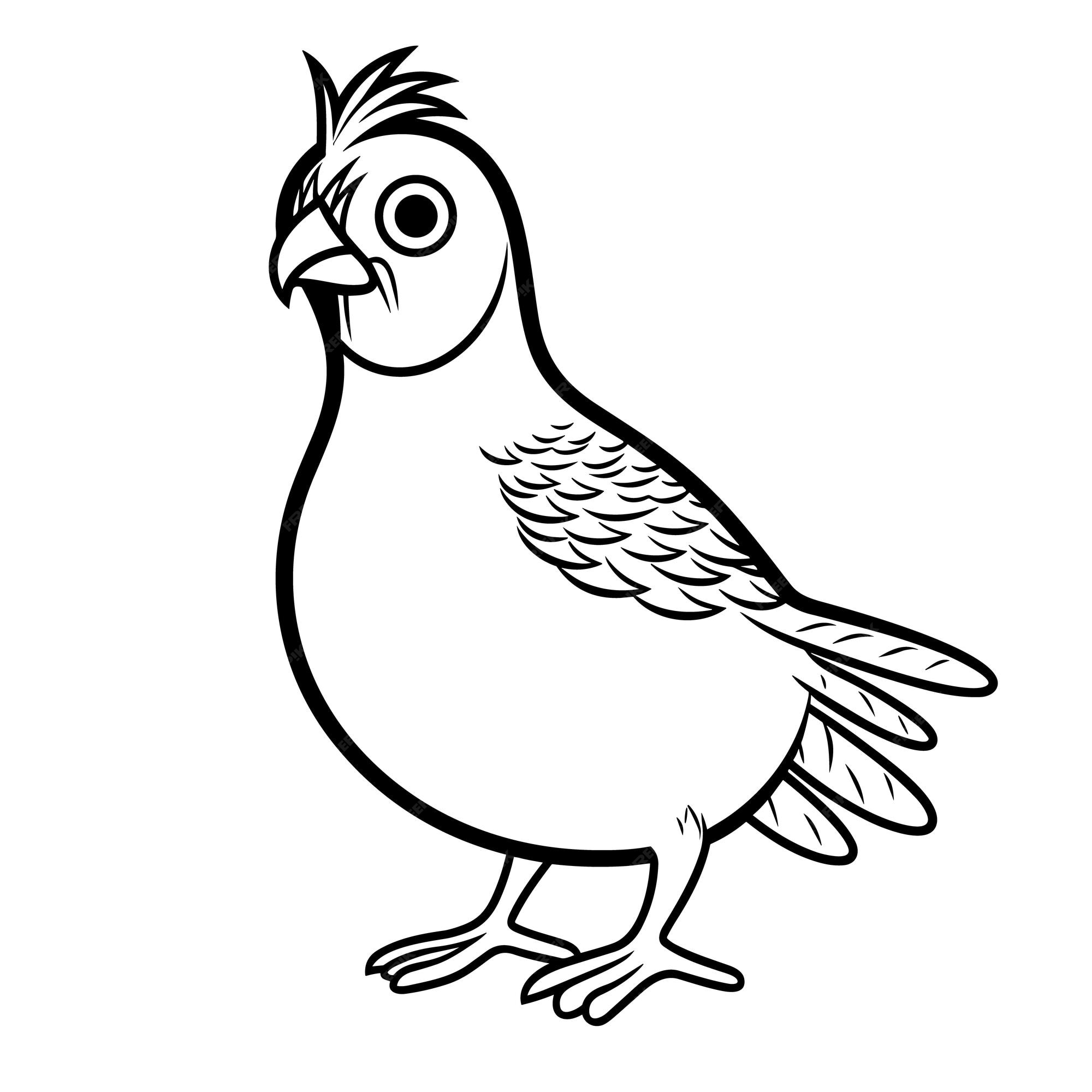 Premium vector quail coloring pages for kid