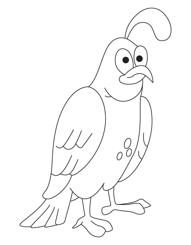 Mon quail coloring page download free mon quail coloring page for kids best coloring pages