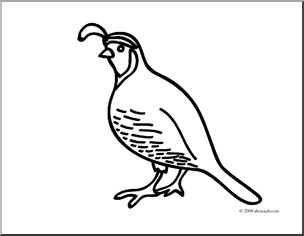 Clip art basic words quail coloring page i