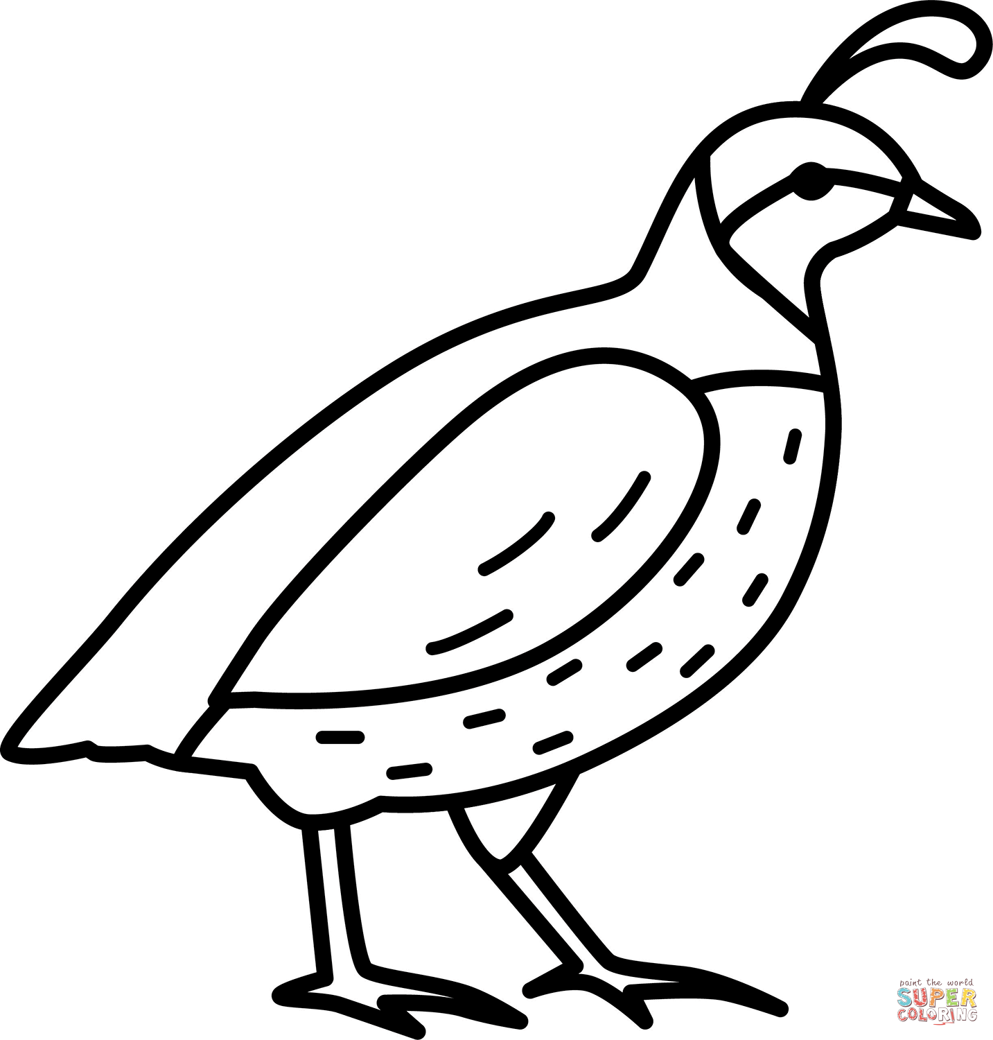 Quail coloring page free printable coloring pages
