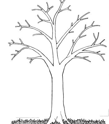 Trees without leaves coloring pages tree coloring page leaf coloring page picture tree
