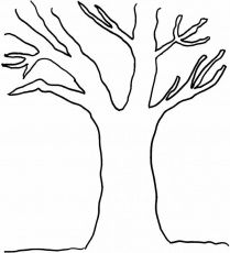 Best photos of trees without leaves coloring pages