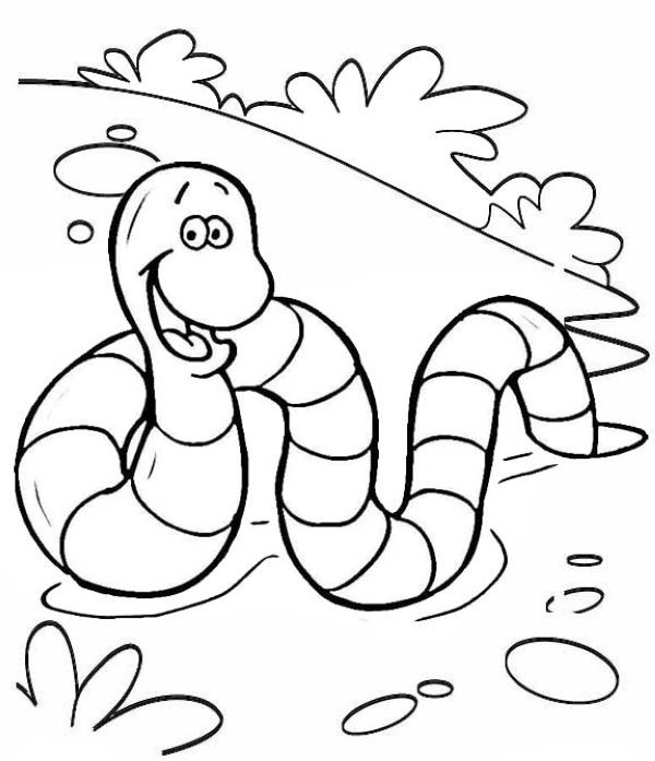 Worms coloring pages pdf printable