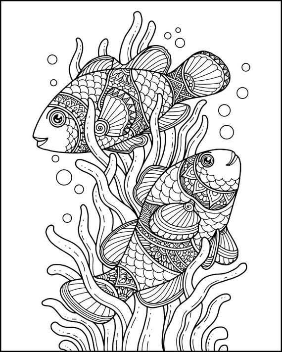 Animal zentangle adult coloring pages printable digital downloadable coloring pages lion horse elephant owl fish coloring page bundle