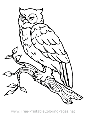 Animal coloring pages