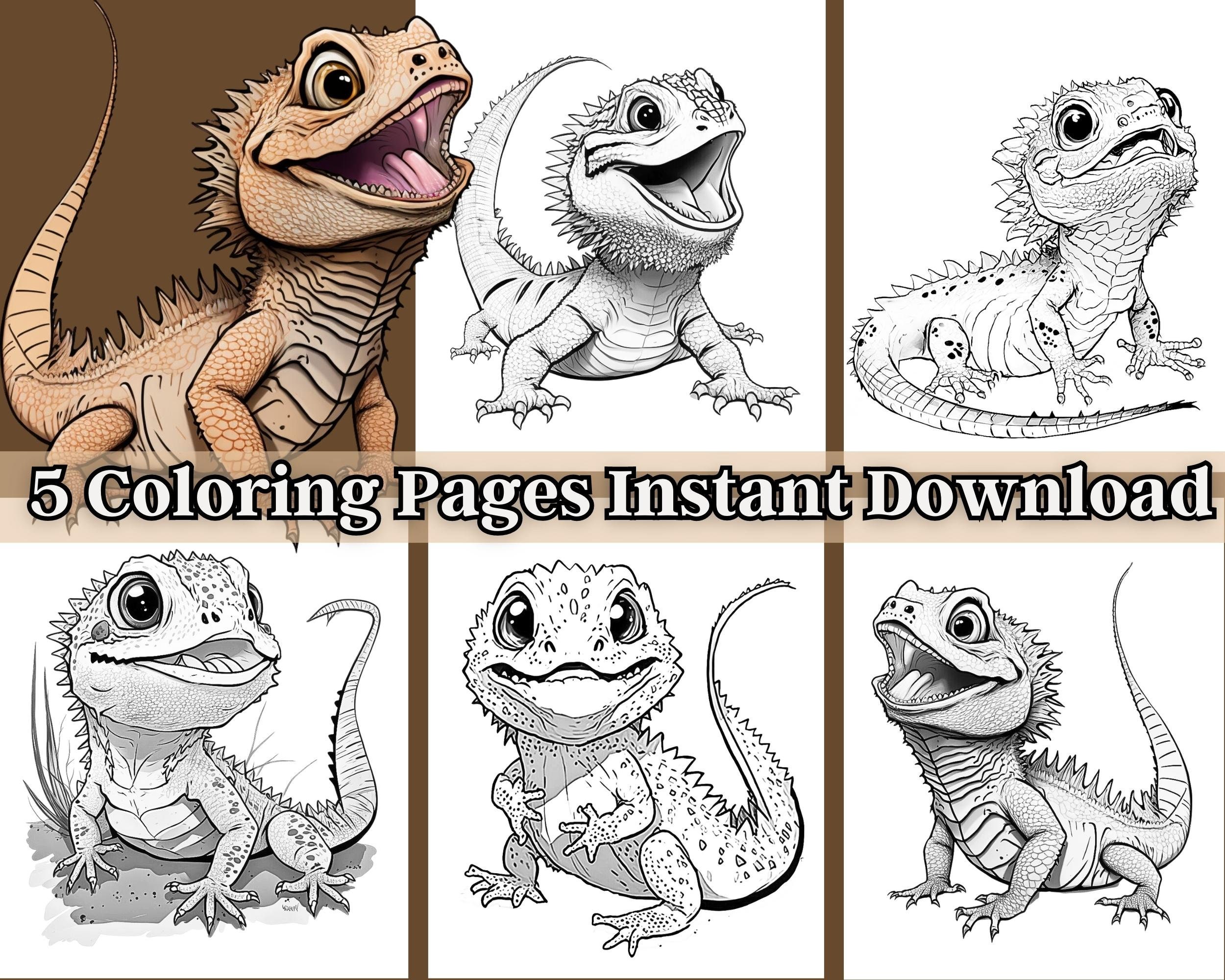 Bearded dragon coloring pages pages bearded dragon art reptile coloring instant download grayscale coloring pages