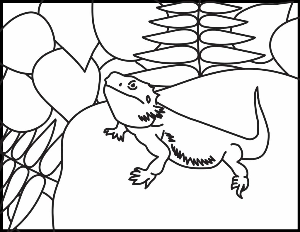 Bearded dragon coloring pages roaring spork