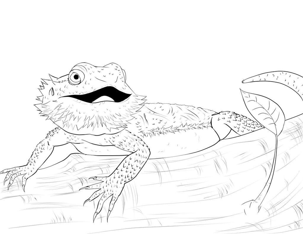 Bearded dragon lineart by lilithbriar on