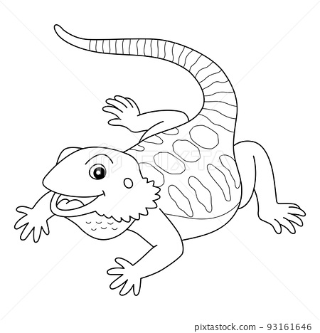 Bearded dragon animal isolated coloring page