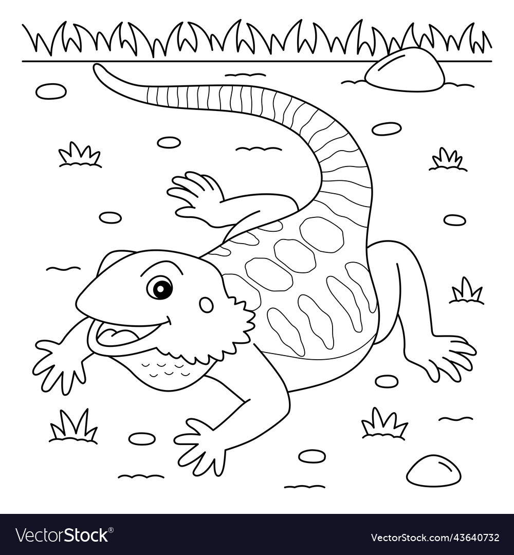 Bearded dragon animal coloring page for kids vector image