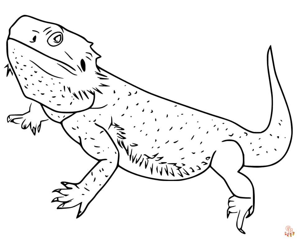 Discover fun with bearded dragon coloring pages