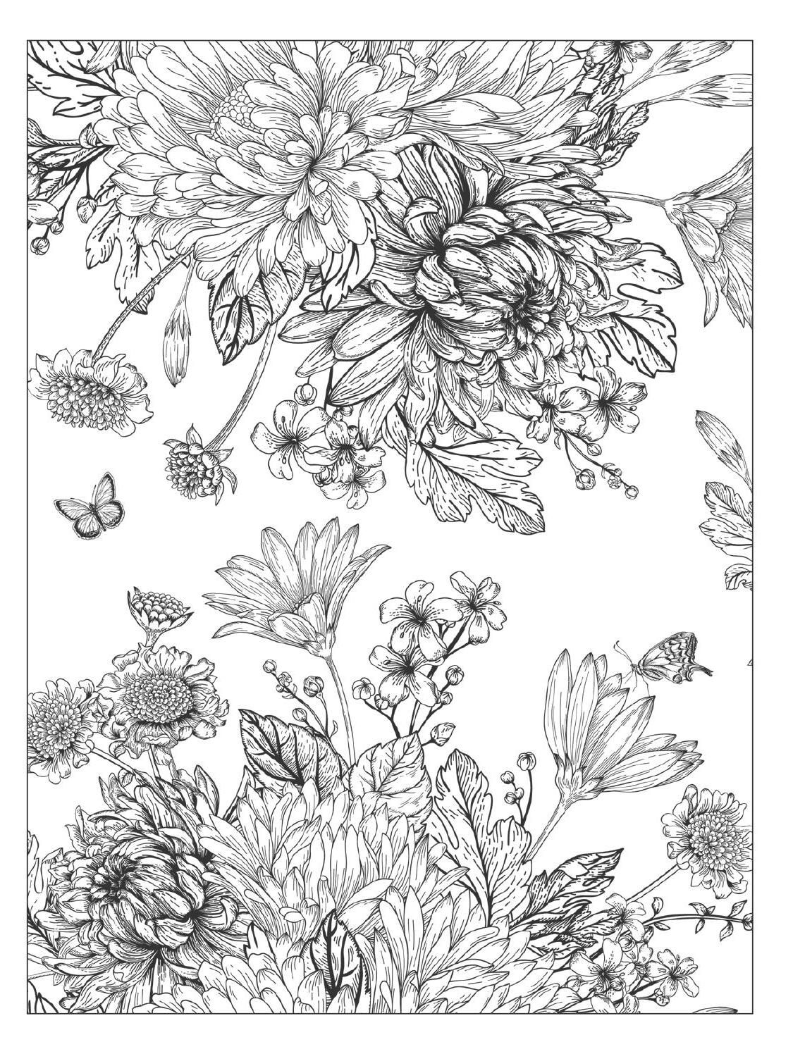 Beautiful flowers detailed floral designs coloring book