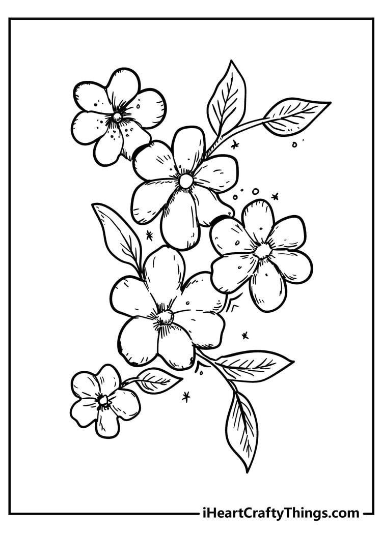 Flower coloring pages free printables