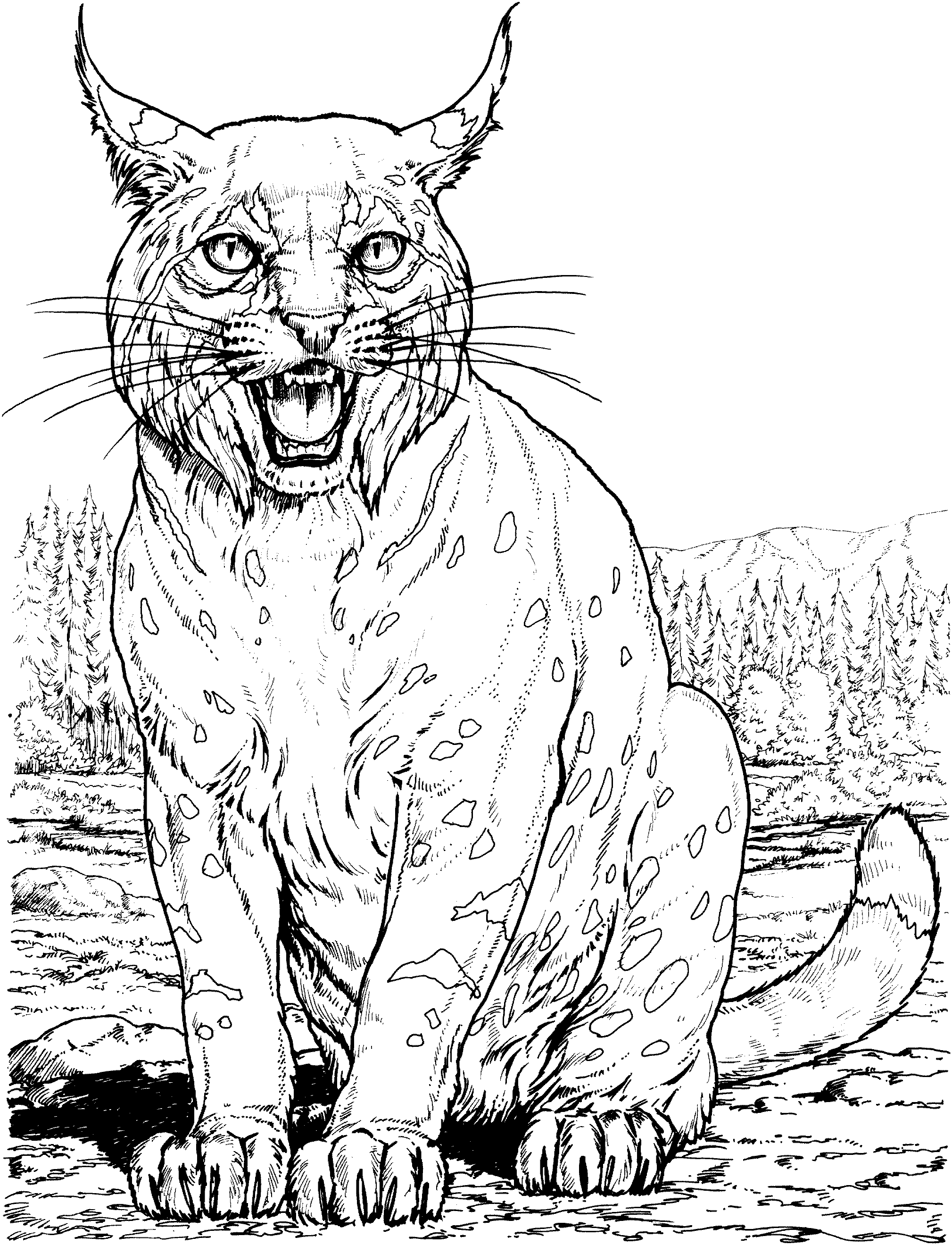 Big cat coloring pages cat coloring page cat colors animal coloring pages