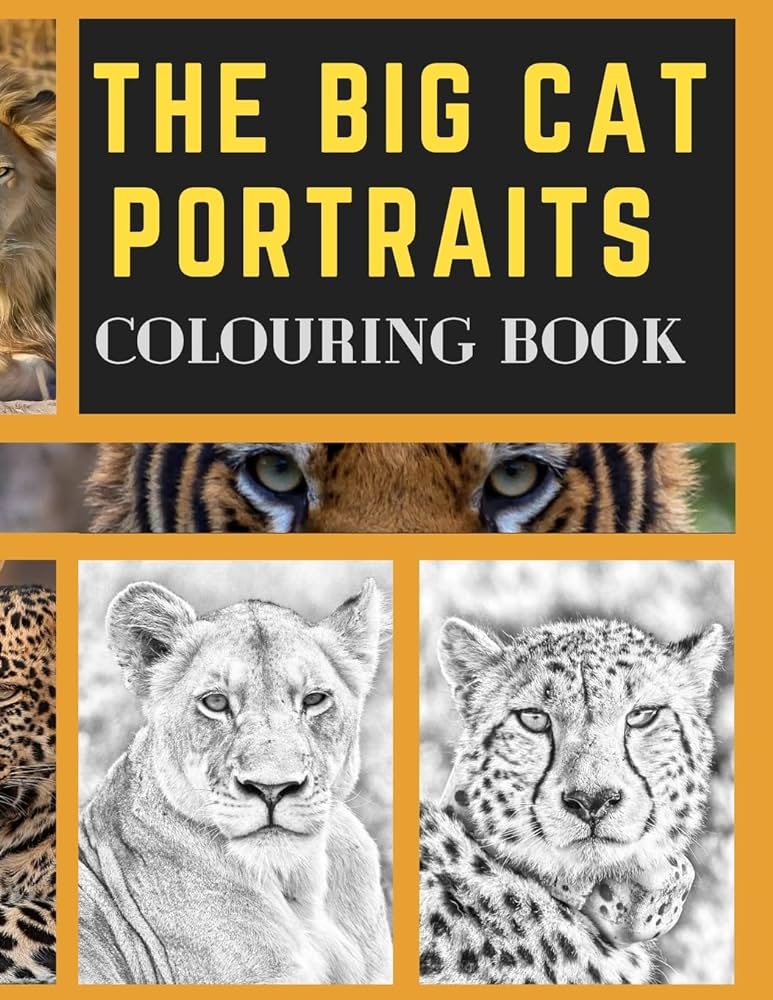 The big cat portraits louring book grayscale realistic big wild cats animal louring book