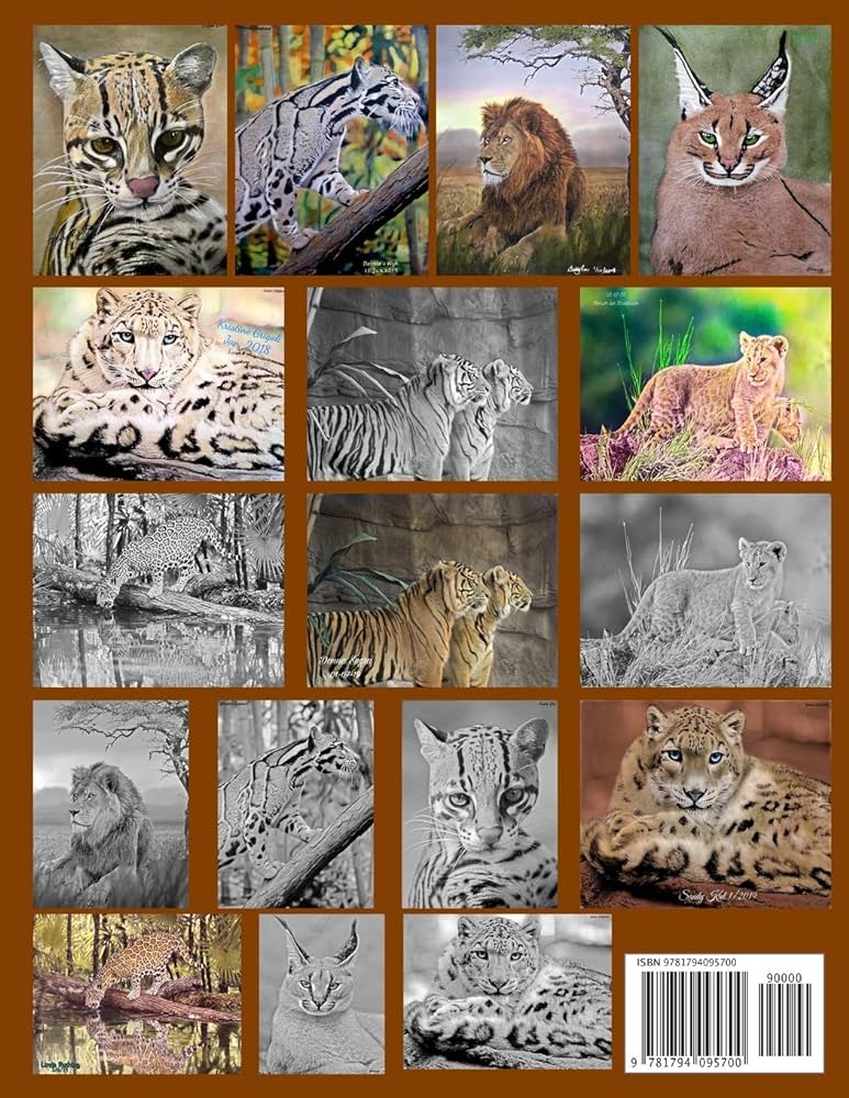 Big cats kingdom life escapes adult coloring book grayscale coloring pages of big wild cats like lions tigers cougars leopards cheetahs and cats like the caracal ocelot cat and more