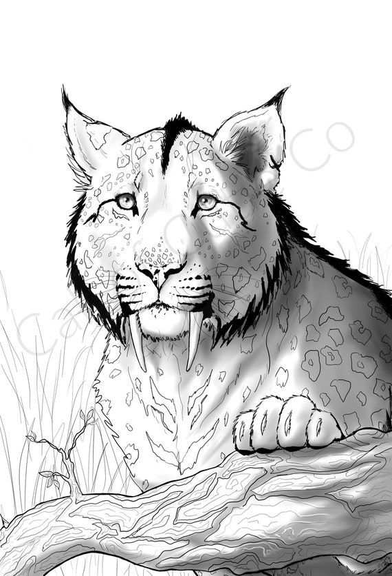 Saber tooth color pagedigital big cat coloring pageanimal color sheets