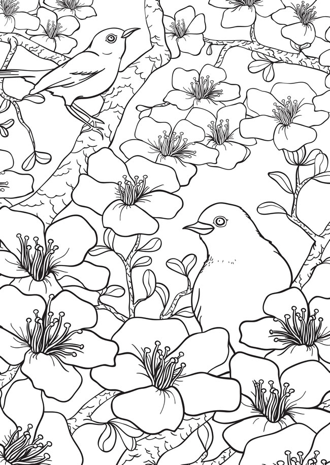 Freebie spring birds and flowers coloring page â