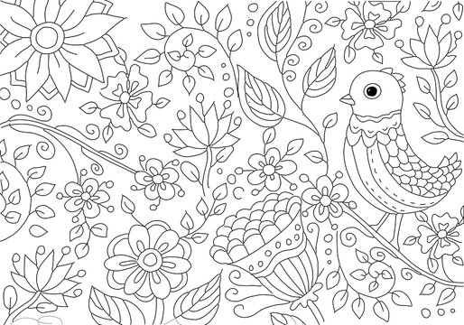 Bird and flower coloring pages images â browse photos vectors and video