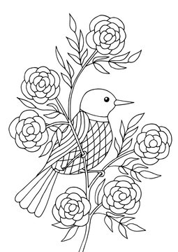 Bird and flower coloring pages images â browse photos vectors and video