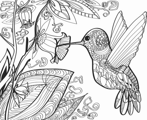 Flights of fancy â printable adult coloring book of birds and more