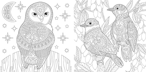 Birds adult coloring book royalty