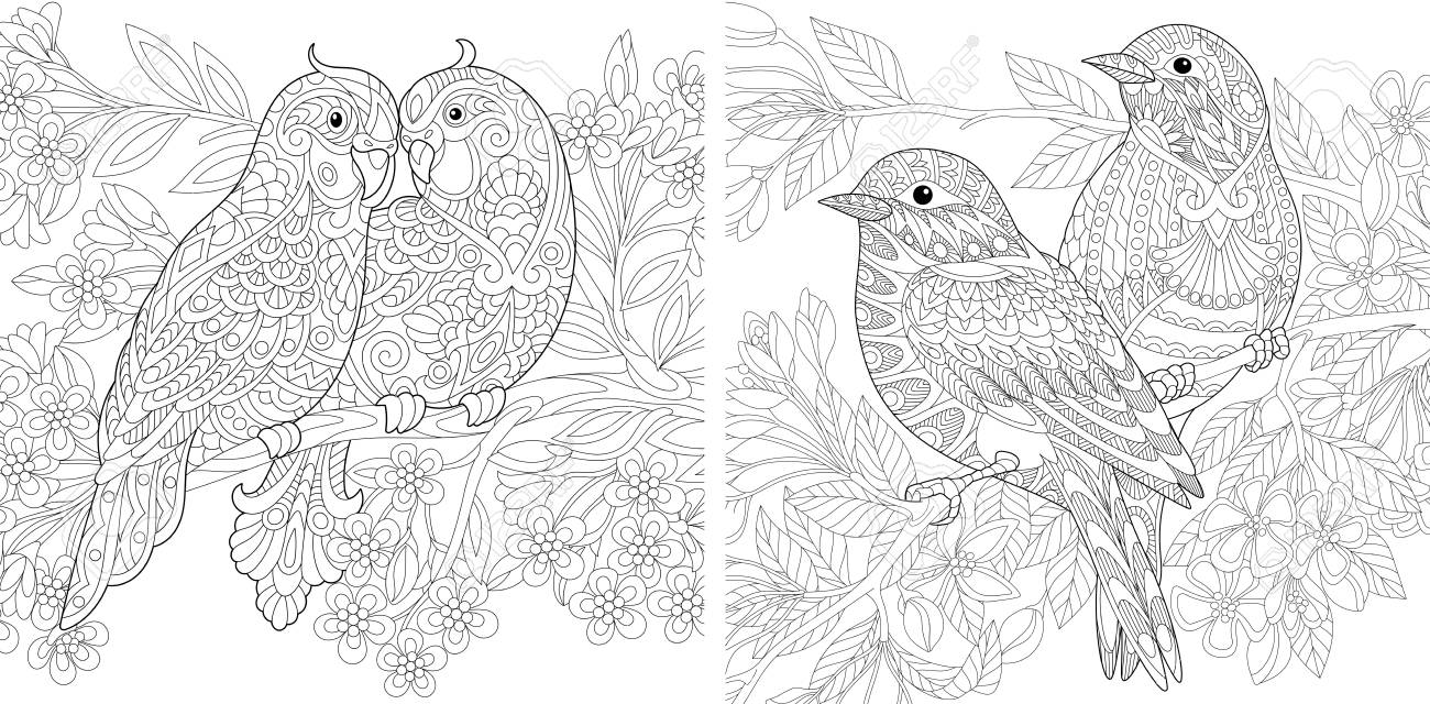 Coloring page adult coloring book budgerigar parrots in love sparrow birds couple floral background spring blooming flowers antistress freehand sketch for valentines day vintage greeting card royalty free svg cliparts vectors and