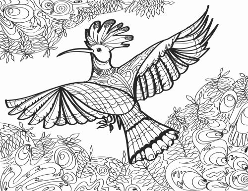 Flights of fancy â printable adult coloring book of birds and more